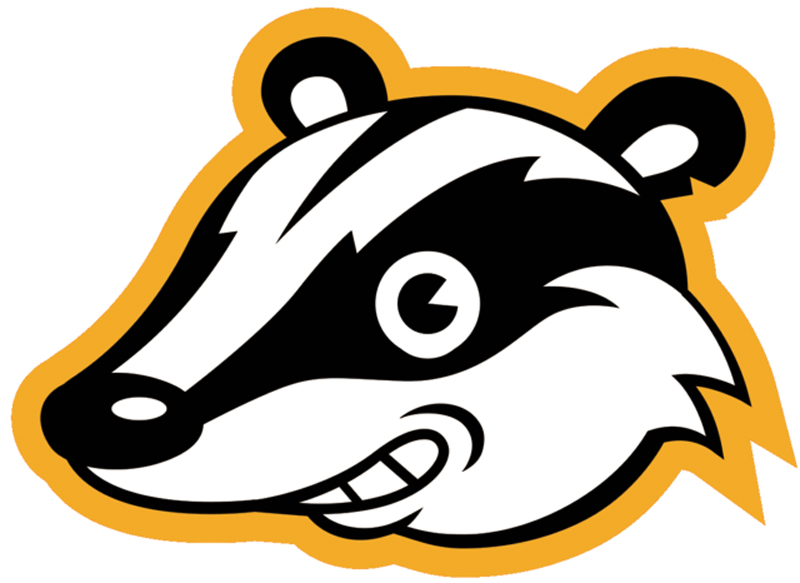 Badger image